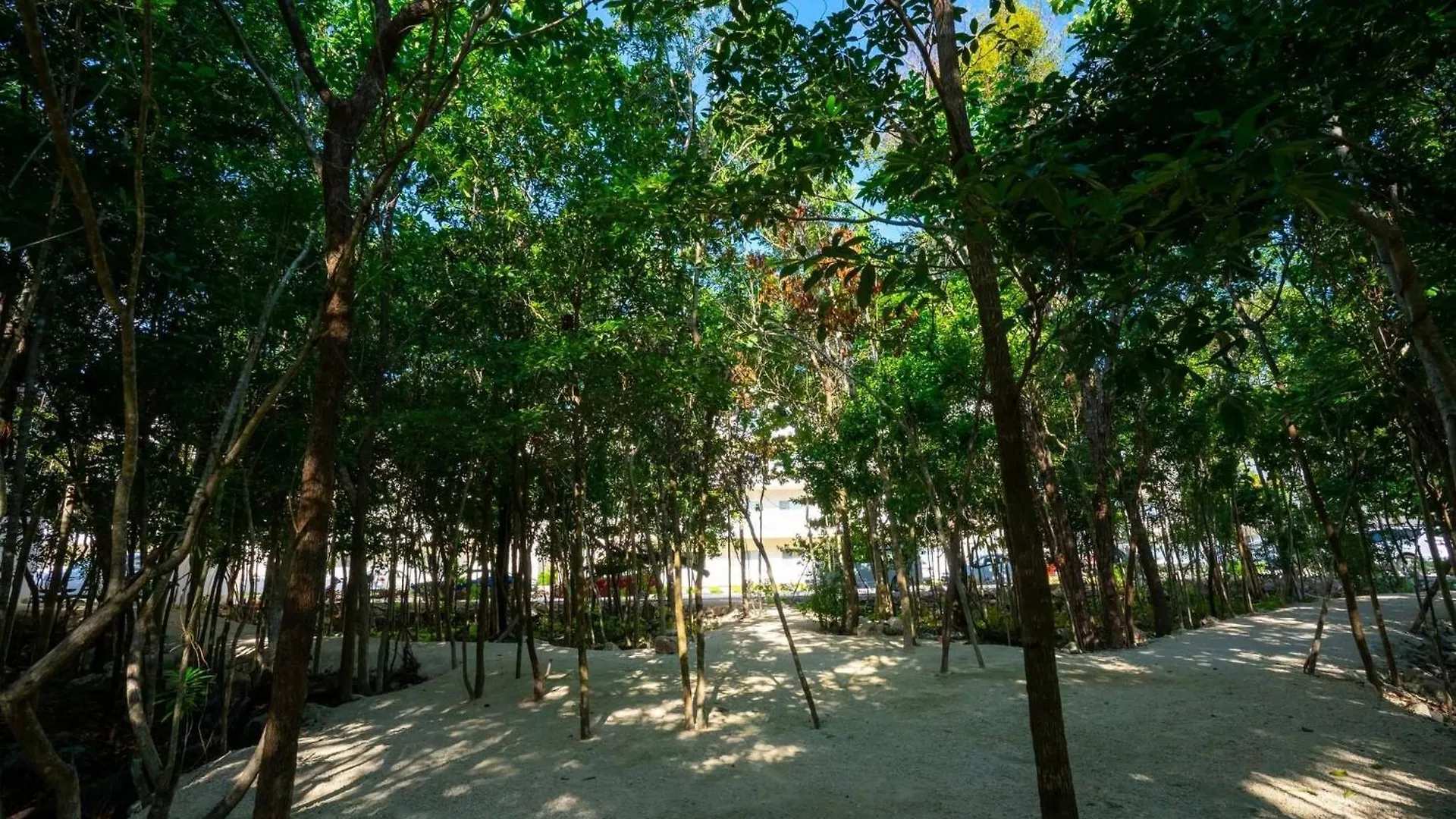 Luxury Apartment With Poll Playa del Carmen