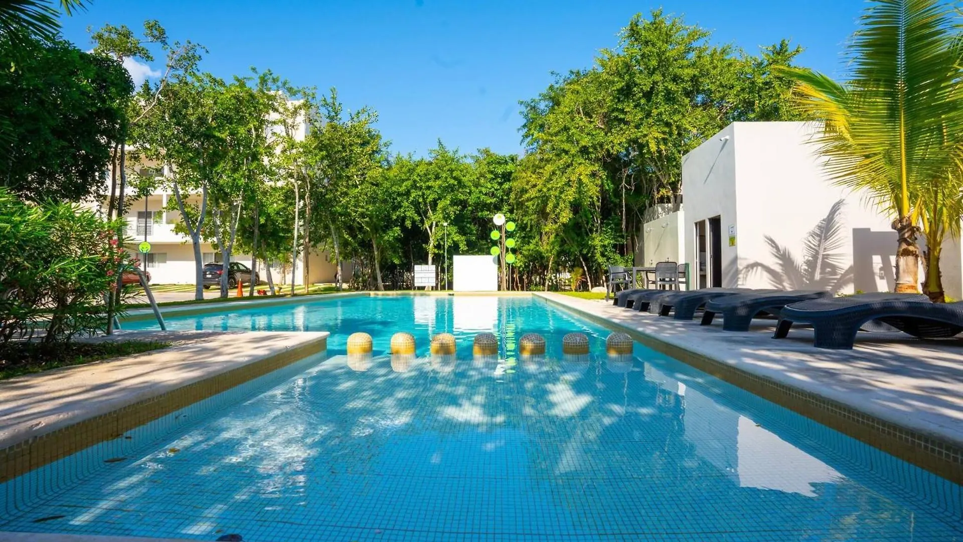 Luxury Apartment With Poll Playa del Carmen Mexico